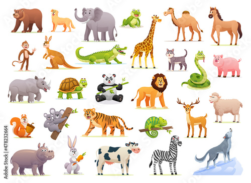 Collection of cute wild animal illustrations