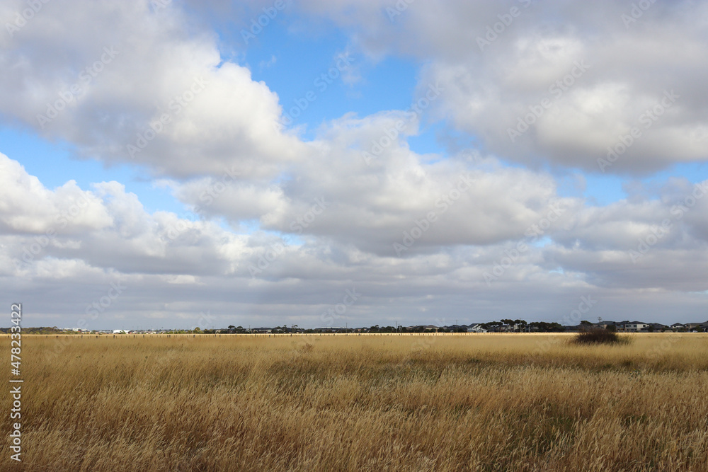 clouds and sky over grassland fields with housing in distance