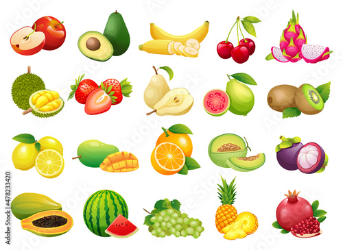 Collection of fresh fruits in cartoon style