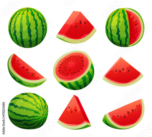 Set of juicy watermelon whole, half and cut slice illustration isolated on white background