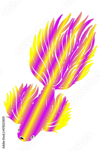 Beautiful gradient colourful betta fish design  illustration for wallpaper background ads clothing logo or presentation template