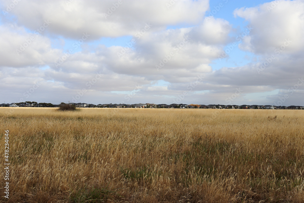 Obraz premium outer suburban housing estate on the edge of grassland