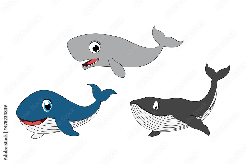 cute whale animal cartoon graphic cute whale animal cartoon graphic