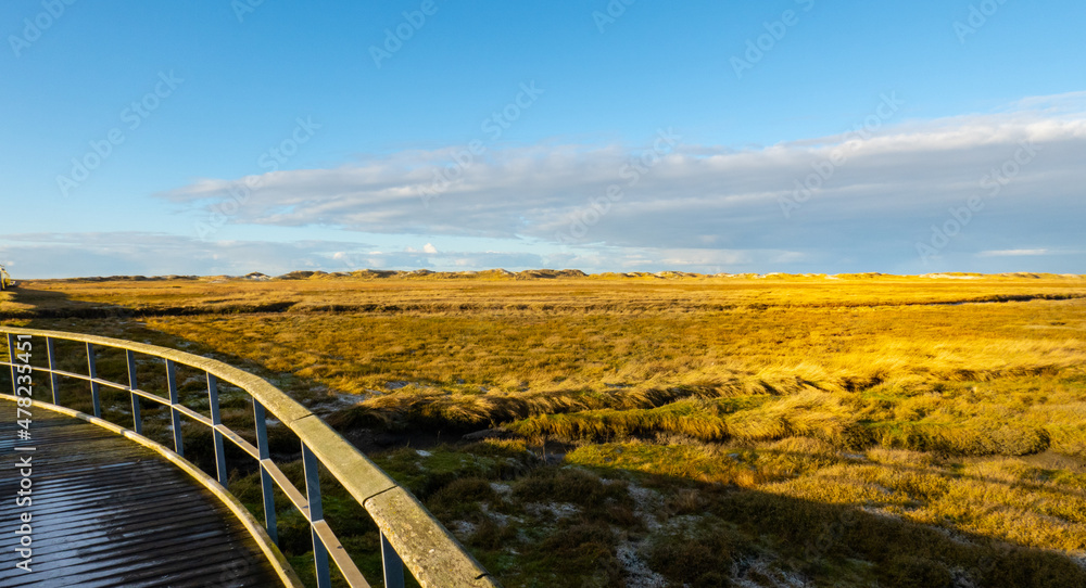 The dunes and Wadden Sea at St Peter Ording Germany - travel photography