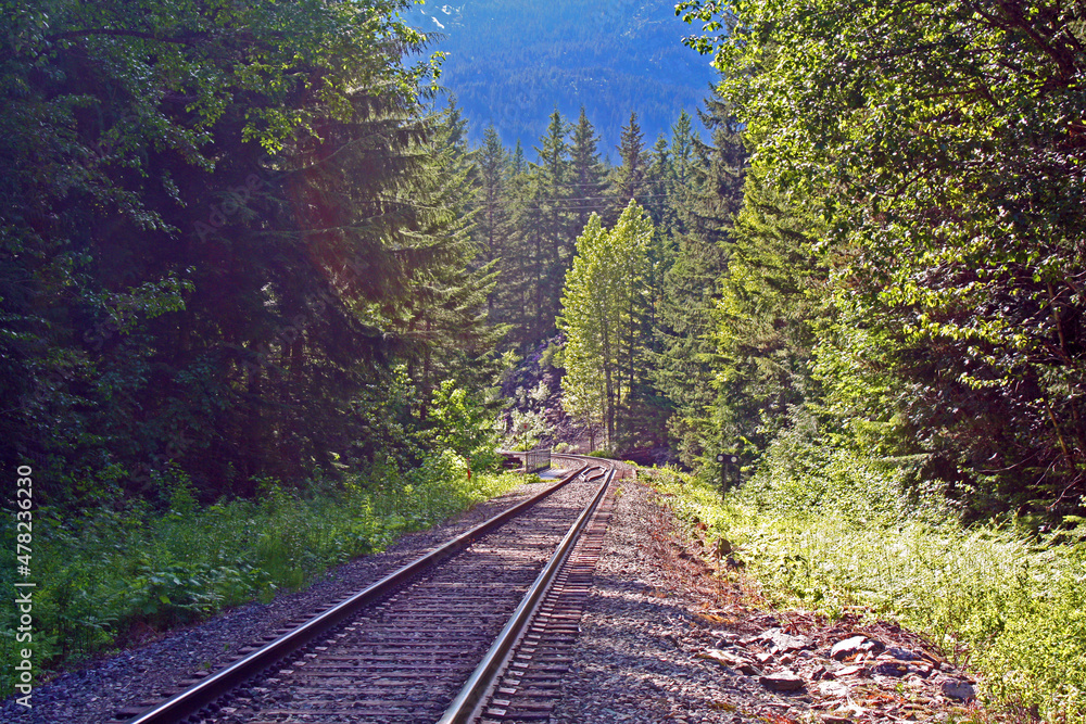 Obraz premium Colorado Tracks