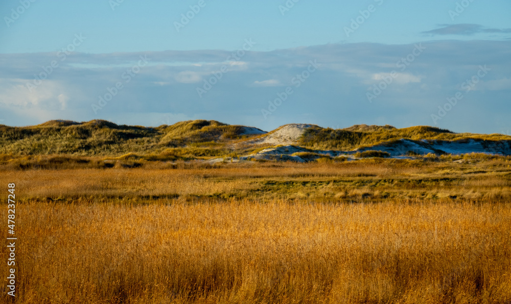 Fototapeta premium The dunes and Wadden Sea at St Peter Ording Germany - travel photography