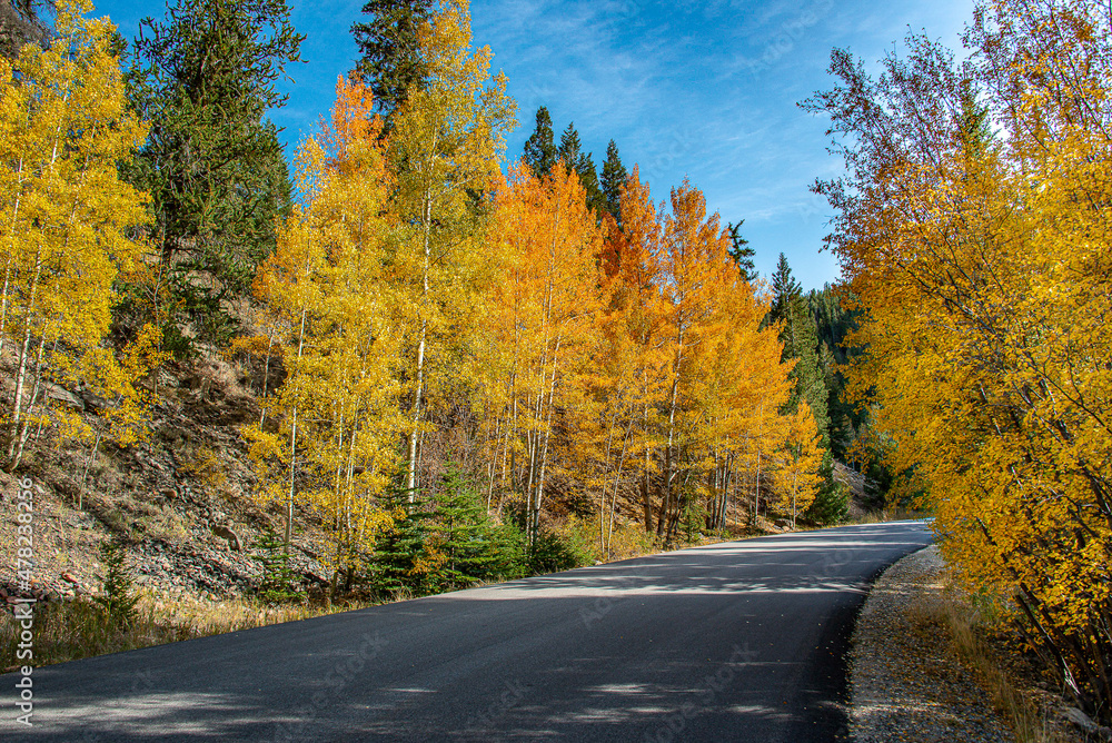 Aspen Aspen
