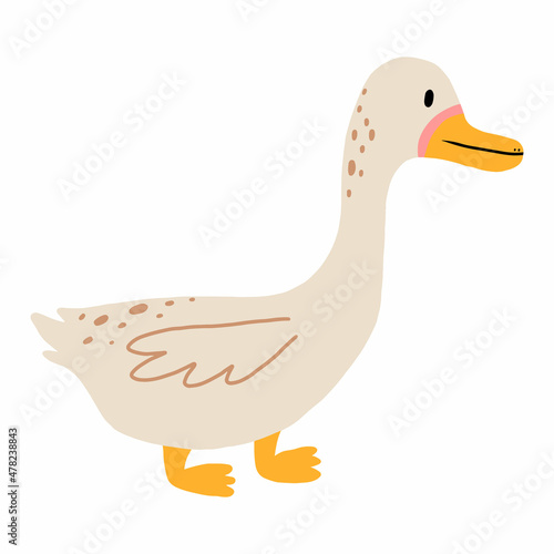 Vector illustration of a cute duck. Domestic duck isolated on white background. Childrens style.