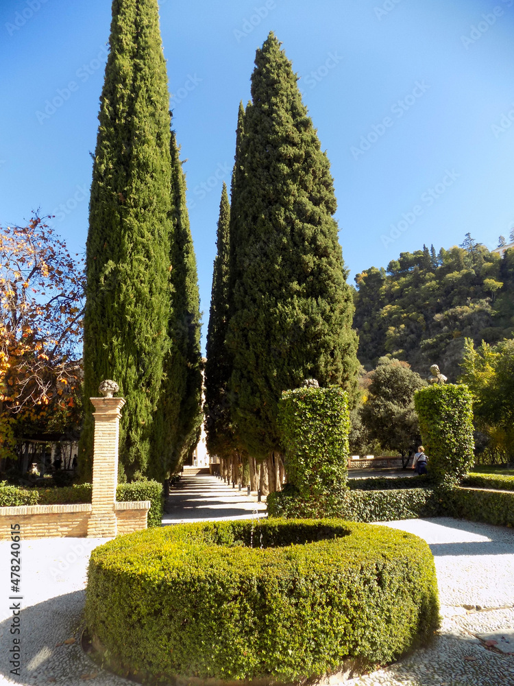 The Alhambra trees and castles, Granada Spain 