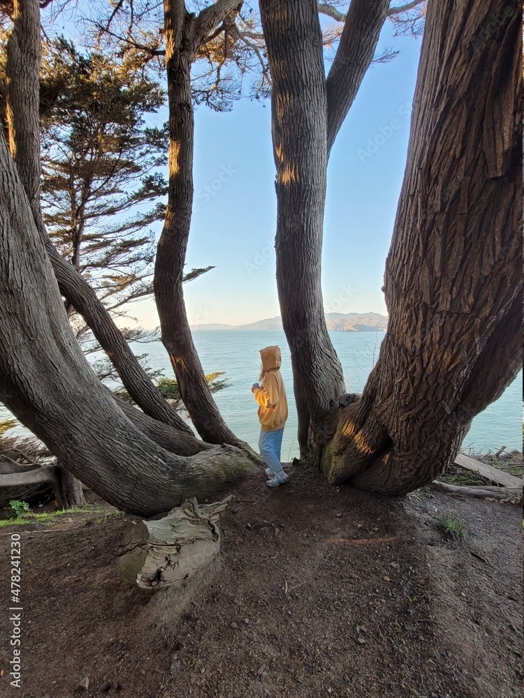 person sitting on a tree