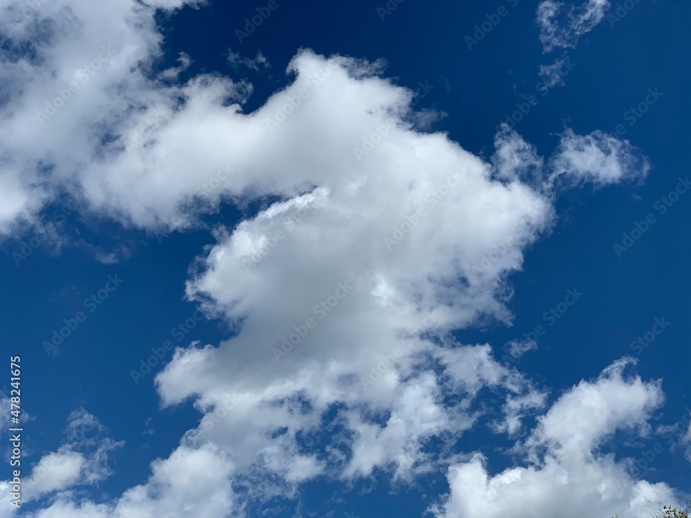Obraz premium clouds in the sky