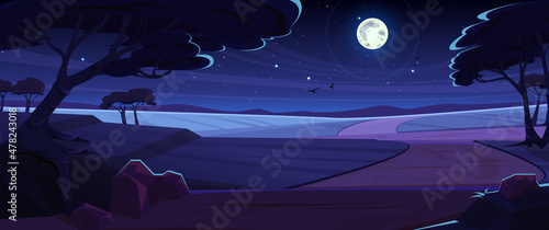 Fotografie, Tablou Night African savannah landscape, wild nature of Africa twilight view, cartoon background with road, trees, rocks and birds flying in starry sky with full moon