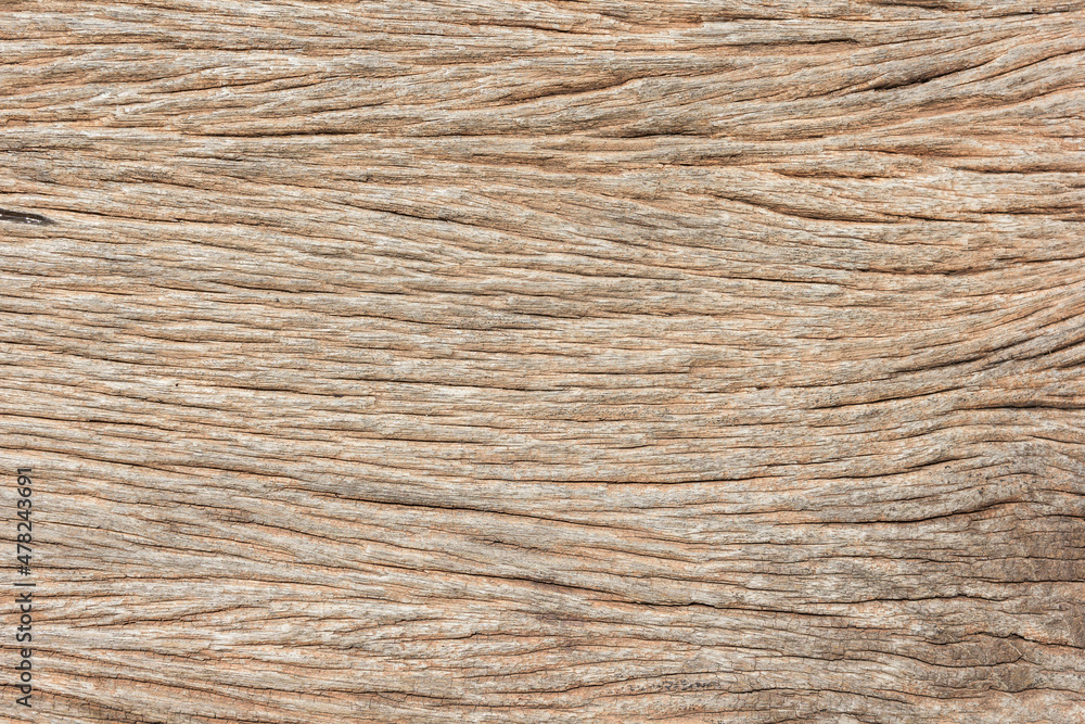 Grunge wooden texture, close up for used as background Grunge wooden texture, close up for used as background