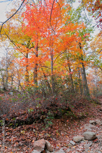 Beautiful Autumn View in Bear Mountain State Park