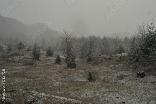 Fotografía First snow of the season on the Hummocks trail near Mt