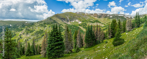 landscape with grass and mountains