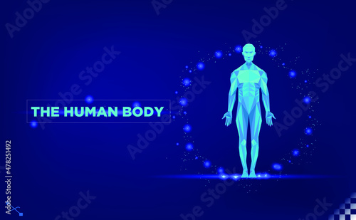 low poly human body triangles line art with lights circle. blue colors