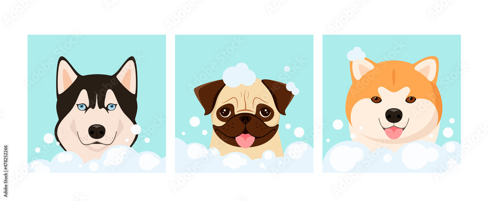 Obraz premium Funny dogs in foam. Grooming. Cartoon design. 