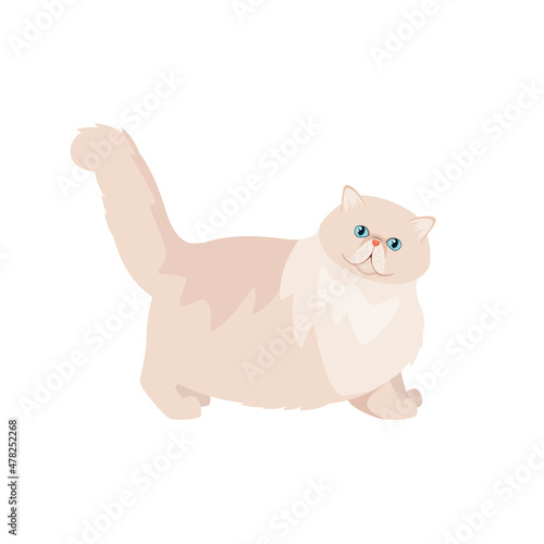 Persian cat on a white background. Cartoon design. 