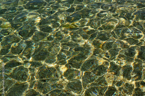 texture sea water in the rays of the sun green tint