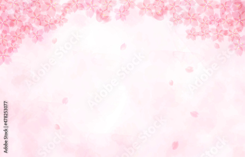 桜の背景イラスト