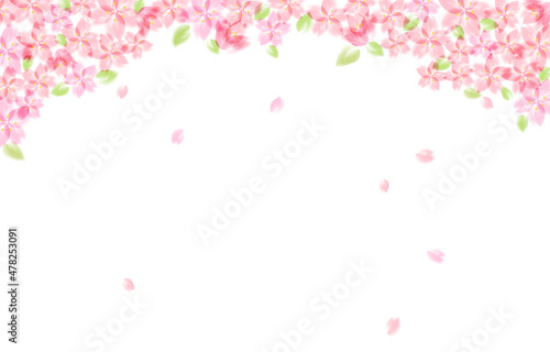 葉桜の背景イラスト