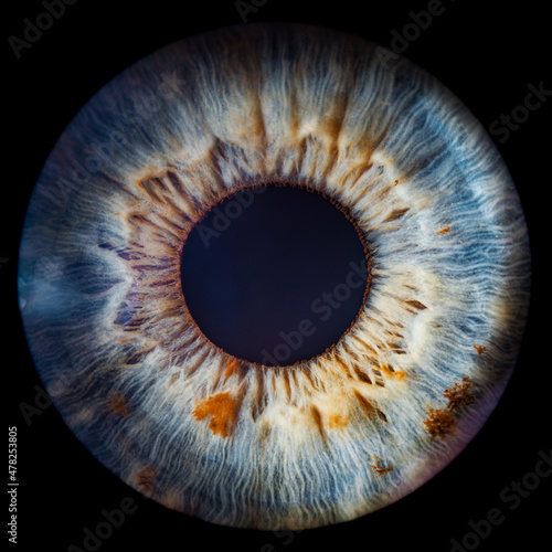 close up of a blue eye photo