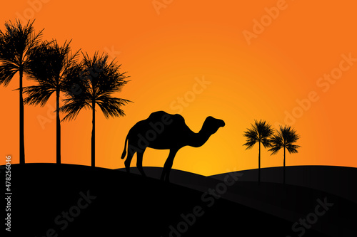 silhouette of camel in the desert  camel in the desert.desert view and Date palm trees.