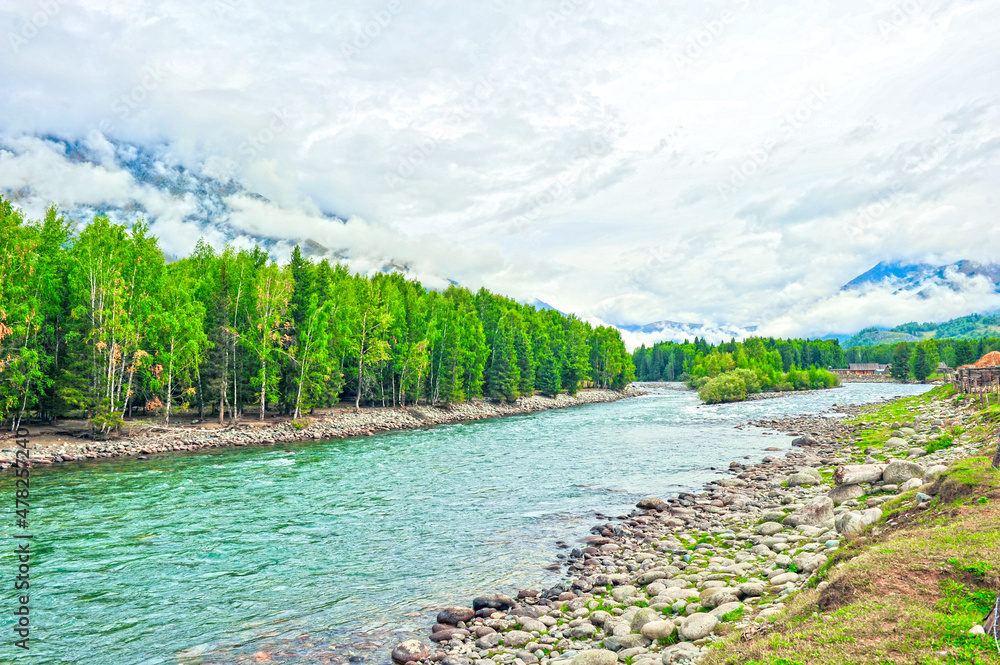 Obraz premium Beautiful river, wooden bridge and birch forest