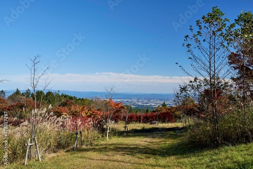 植樹祭記念緑地公園