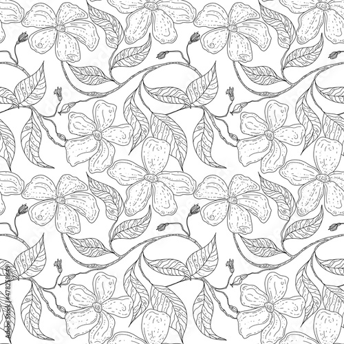 Seamless pattern with flowers. Seamless pattern with violets. Design for textile and wallpaper. Black and white drawing drawn by hand. On a white background 