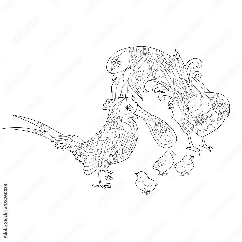 Fototapeta premium Contour linear illustration for coloring book with two pretty birds. Beautiful cute couple, anti stress picture. Line art design for adult or kids in zen-tangle style, tattoo and coloring page