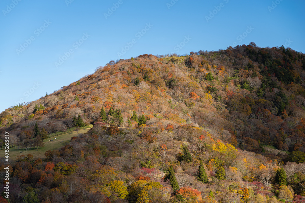 紅葉する山