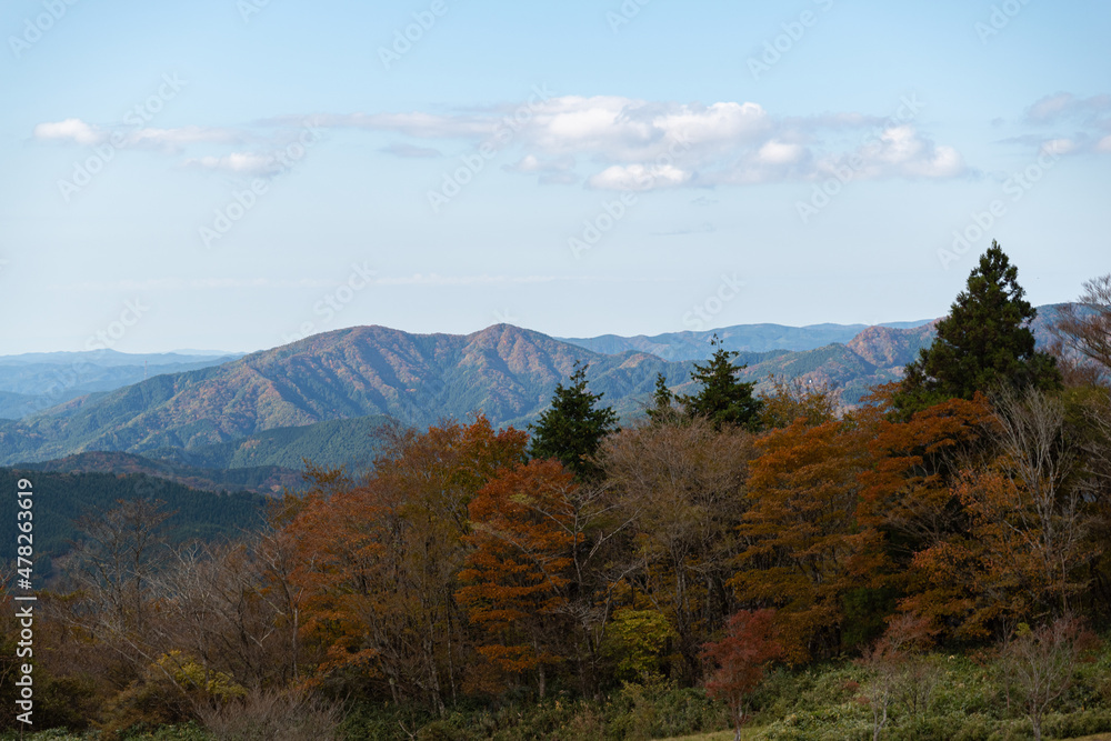 Obraz premium 紅葉する山