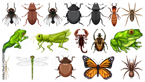 Leinwand Poster Different insects collection isolated on white background