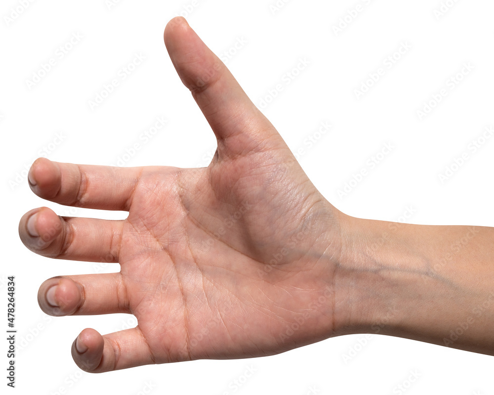 isolated of woman hand holding something like a bottle or can. isolated of woman hand holding something like a bottle or can.