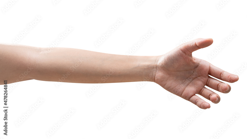 isolated of woman hand holding something like a bottle or can. isolated of woman hand holding something like a bottle or can.