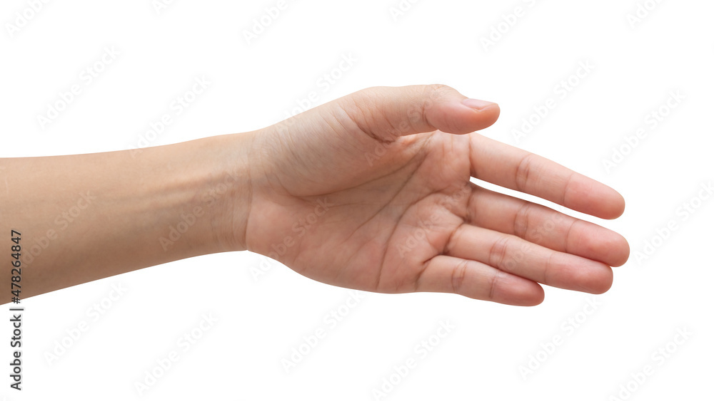 Woman hand reach and ready to help or receive. Gesture isolated on white background. Woman hand reach and ready to help or receive. Gesture isolated on white background.