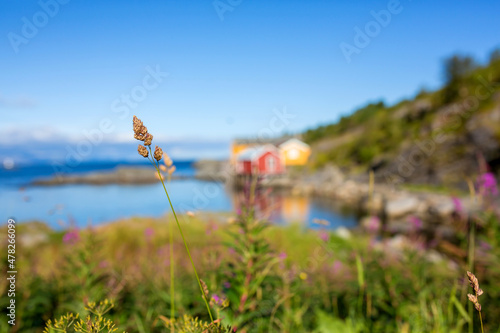 Beautiful Sorvagen village in nothern Norway, southwest Lofoten, village with typical wooden red cabins photo