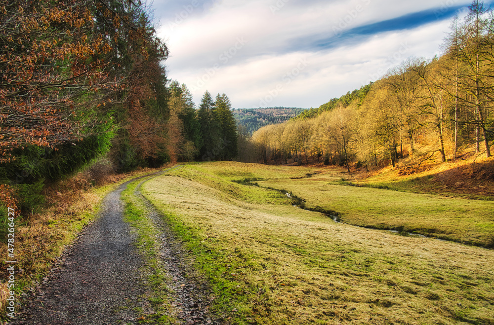 Fototapeta premium The path to net-zero