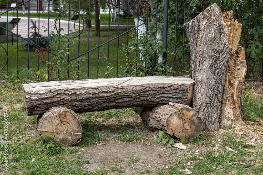 Beautiful bench with gray texture made of old fallen poplar tree with cracks is in summer day in the park Beautiful bench with gray texture made of old fallen poplar tree with cracks is in summer day in the park