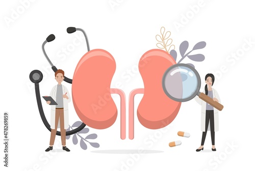 Human organs of kidneys with doctor or nurse or medical staff for health check, vector comic cartoon