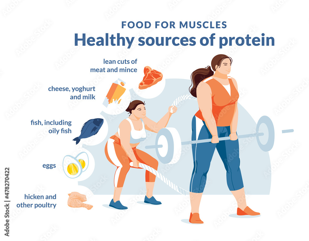 Healthy protein source infographics. Two pluse size women on a white background are doing a workout. Growth and healthy eating. Food icons. Typography. Flat vector illustration. Healthy protein source infographics. Two pluse size women on a white background are doing a workout. Growth and healthy eating. Food icons. Typography. Flat vector illustration.