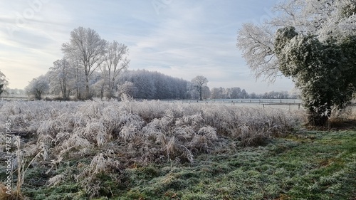 Foto Kalter Tag im Winter mit wenig Schnee, dafür aber Sonne und ein wenig Nebel