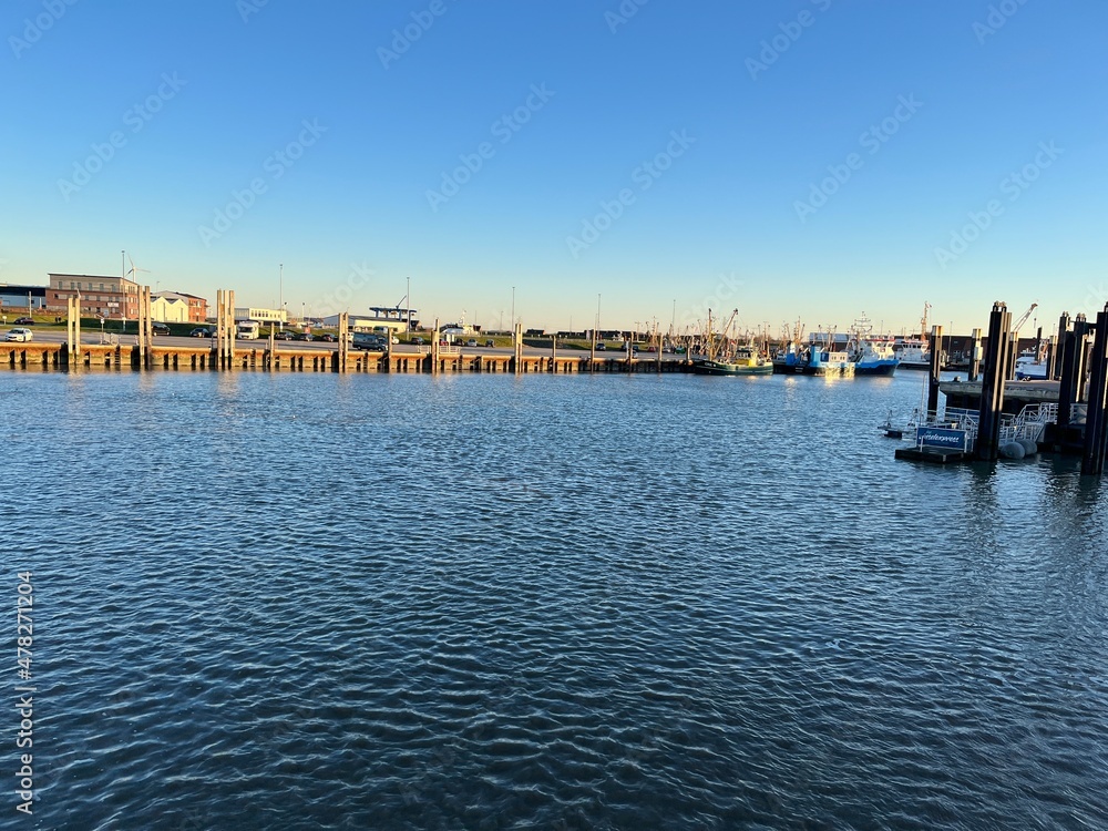 boats in the harbor