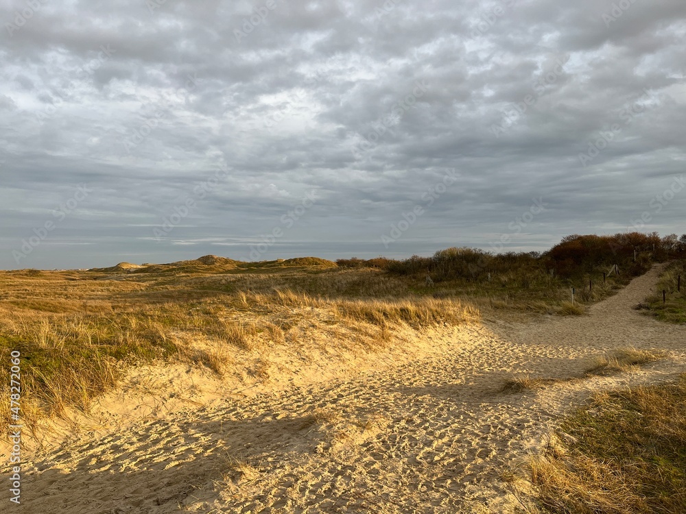 Fototapeta premium Wonderful dunes at a perfect beach in a perfect evening