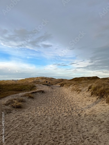 Wonderful dunes at a perfect beach in a perfect evening © Michael
