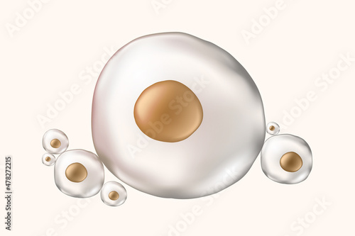 Stem cells for website, media and publications. Biotechnology. Biology. Medical science.