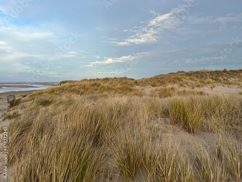Wonderful dunes at a perfect beach in a perfect evening