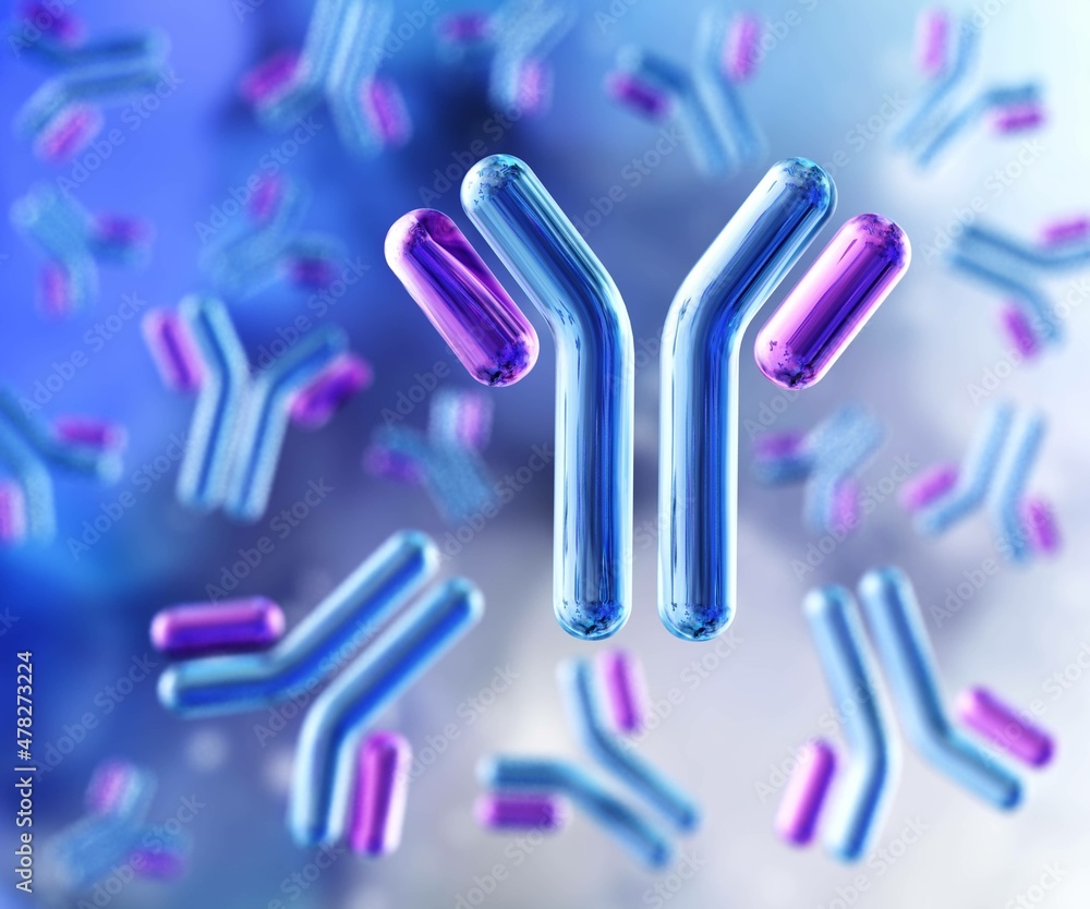 Antibodies, blood plasma globular proteins, background antibodies